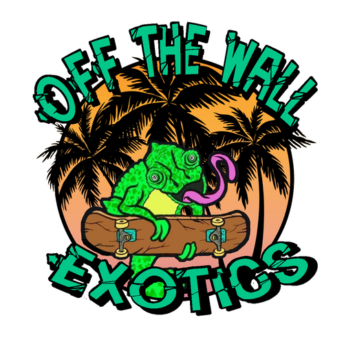 Off the Wall Exotics LLC